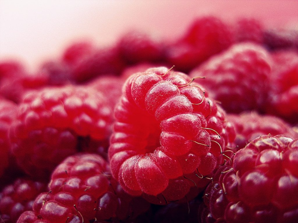Rote Früchte - Himbeeren