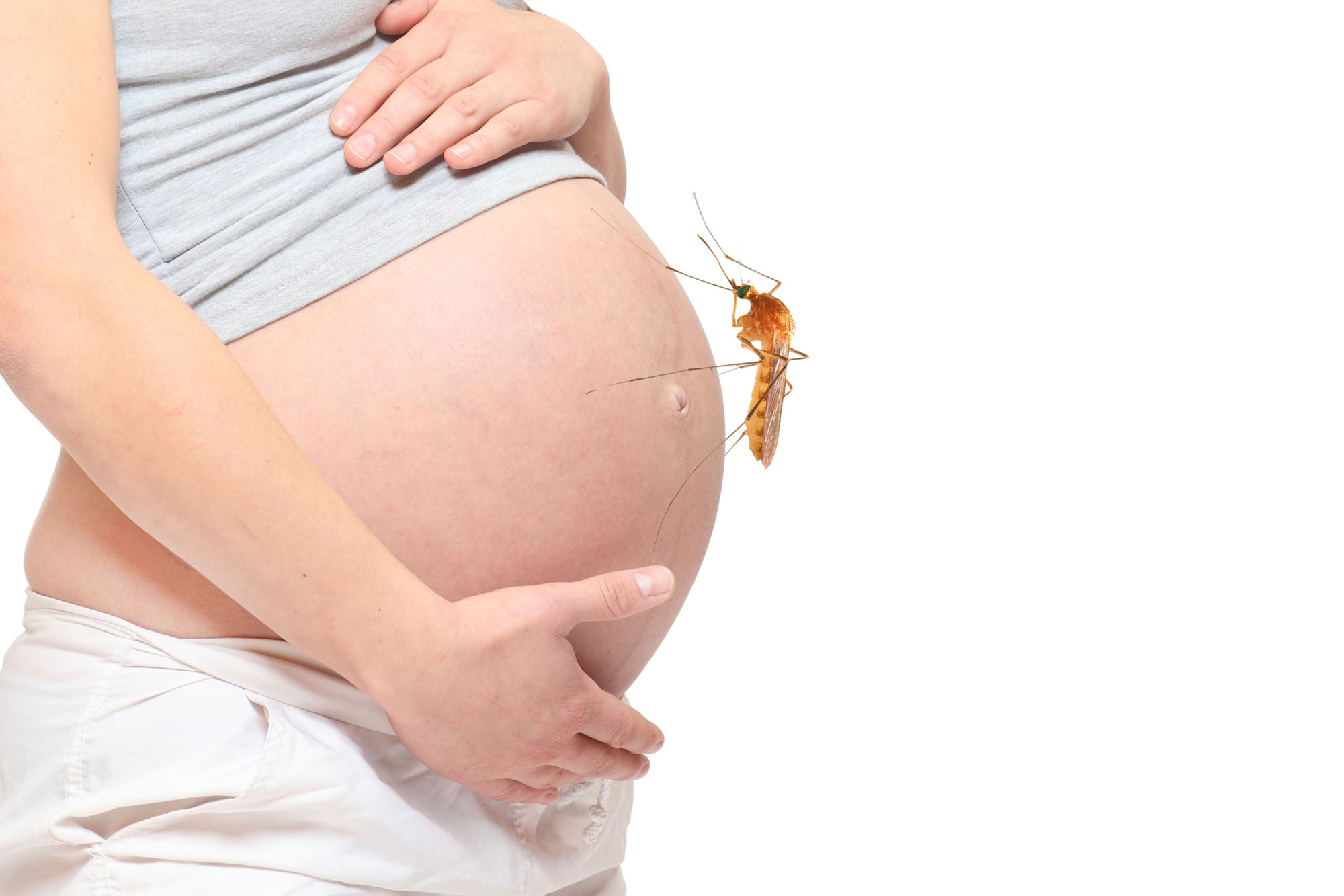 Schwangere mit Mücke auf dem Bauch